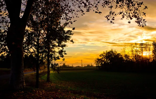 Картинка поле, осень, деревья, закат, вечер