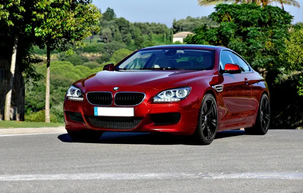 Bmw, coupe