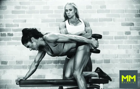 Workout, females, bodybuilders, hard trainning