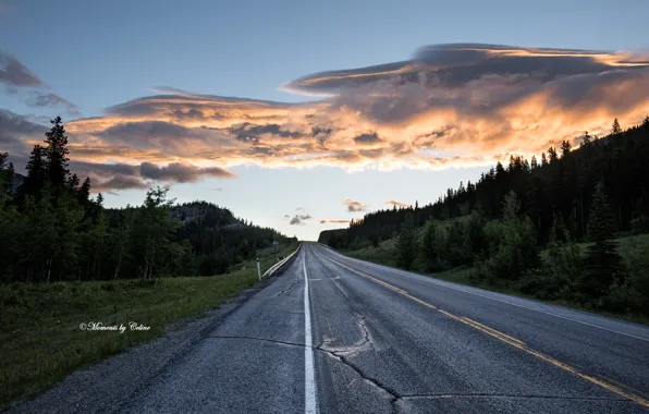 Картинка дорога, природа, утро