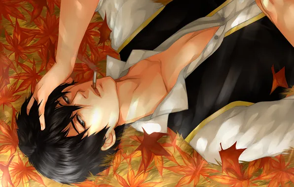 Картинка листья, сигарета, лежит, мужчина, форма, клен, Shinsengumi, Gintama