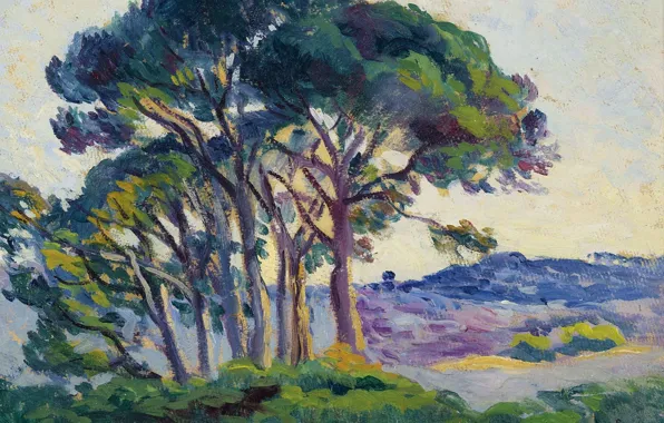 Деревья, пейзаж, картина, 1903, Максимильен Люс, Maximilien Luce, Сосны возле Ле Канебье