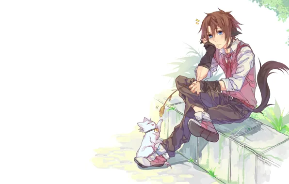 Картинка аниме, арт, парень, котёнок, неко