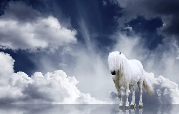 Картинка облака, лошадь, грива
