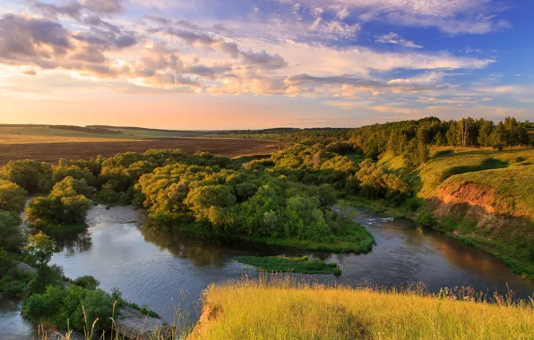 Картинка деревья, река, панорама