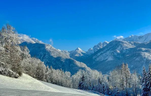 Зима, снег, деревья, горы, утро, мороз