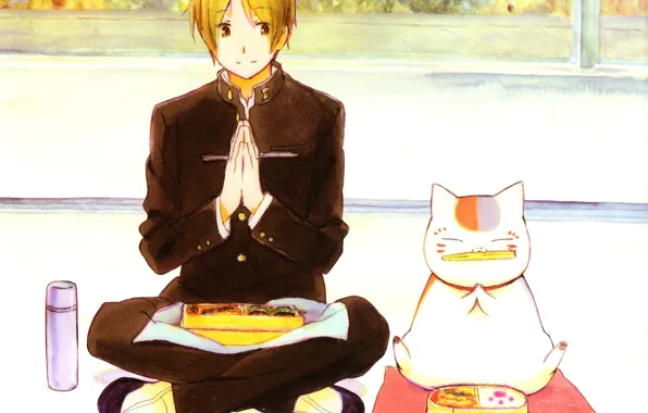 Кот, окно, обед, термос, Natsume Yuujinchou, Тетрадь дружбы Нацумэ, бенто, школьник