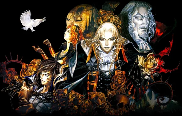 Rose, flower, immortal, man, vampire, Castlevania, hana, Dracula