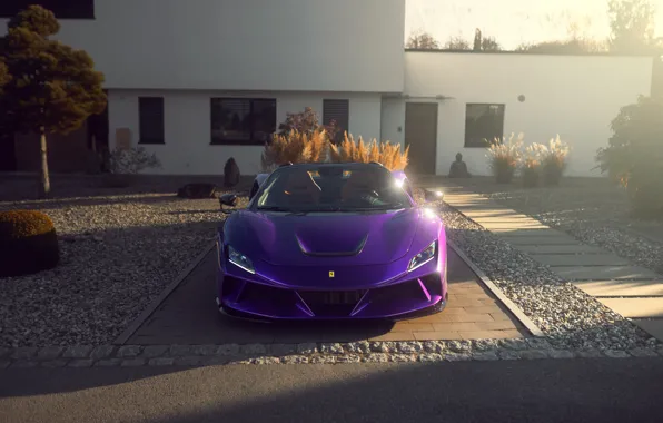 Фиолетовый, Тюнинг, Феррари, Ferrari, Purple, tuning, Spider, Передок