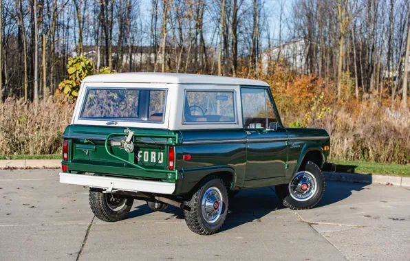Ford, зелёный, Wagon, 1974, Bronco