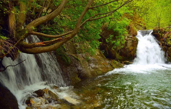 Картинка Зелень, Весна, Водопад, Nature, Green, Spring, Waterfall