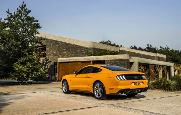 Картинка оранжевый, Ford, стоянка, 2018, фастбэк, Mustang GT 5.0