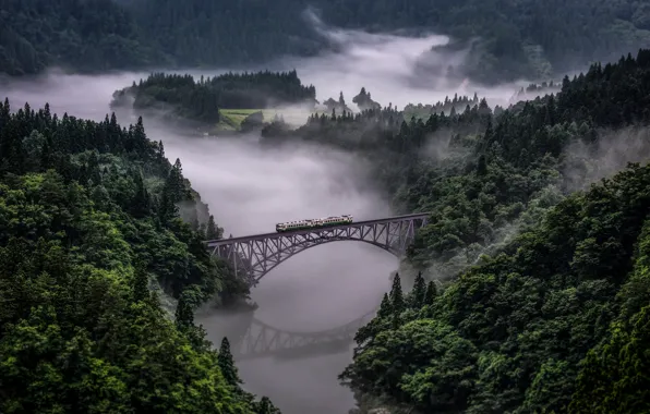 Картинка лес, горы, мост, река, поезд, Tadami Line In Japan