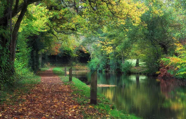 Осень, парк, канал, Великобритания, листопад, Уэльс, Wales, Llanover
