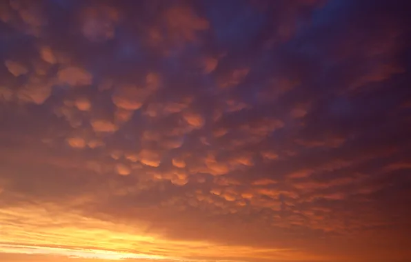Небо, облака, закат, горизонт