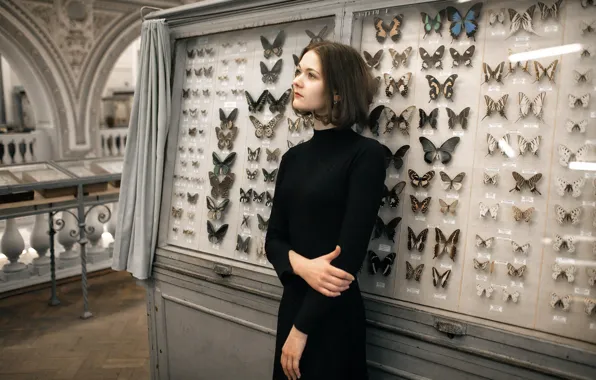 Бабочки, платье, прелесть, витрина