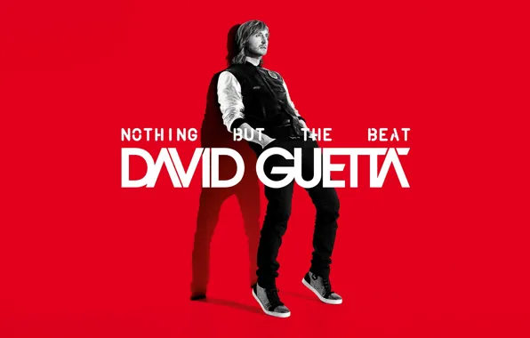Музыка, Электро, David Guetta, Давид Гетта, Nothing But the Beat