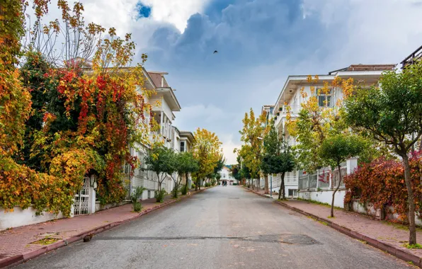 Street, houses, turkey, istanbul, büyükada