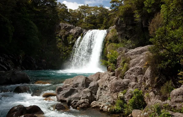 Лес, река, камни, скалы, водопад, New Zealand