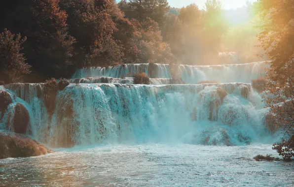 Свет, деревья, водопад, поток