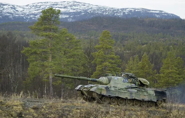 Природа, Норвегия, танк, бронетехника, Leopard 1