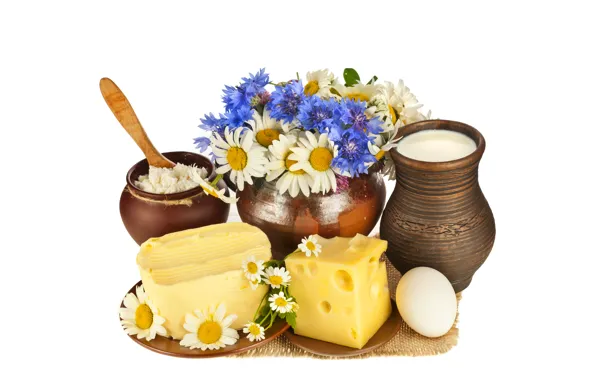 Картинка цветы, яйцо, масло, ромашки, букет, сыр, молоко, блюдца