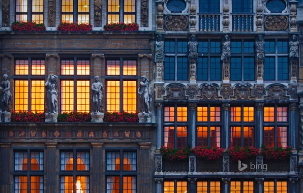Цветы, окна, дома, Бельгия, Брюссель, скульптура, рыночная площадь, Гран-Плас
