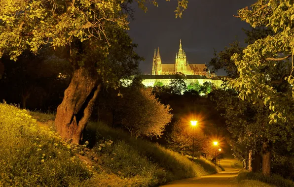 Дорога, деревья, ночь, огни, Прага, Чехия, фонари, дворец