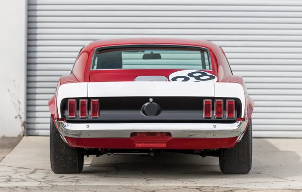 Картинка Mustang, Ford, 1969, muscle car, rear view, Ford Mustang Boss 302