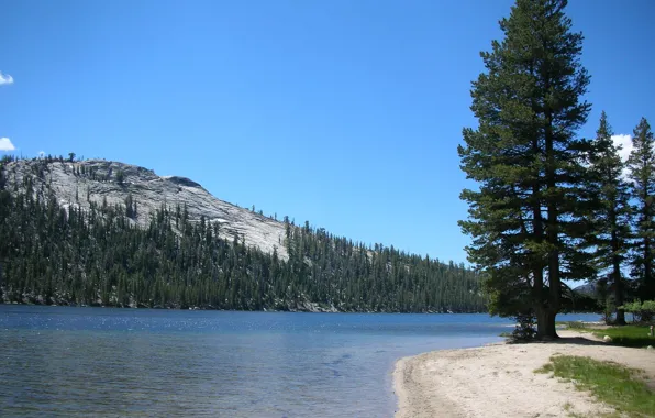Картинка лес, горы, природа, река, Yosemite National Park