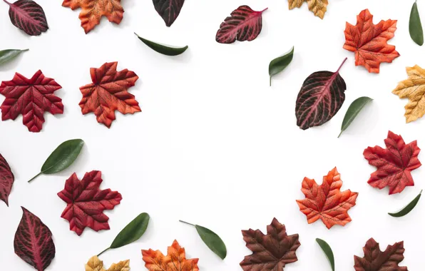 Картинка осень, листья, фон, colorful, background, autumn, leaves, осенние