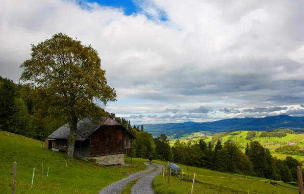 Картинка дорога, горы, дом, дерево, холмы, Швейцария, склон, Wattenwil