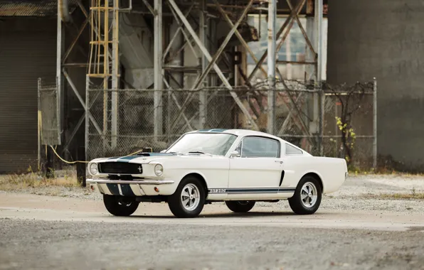 Mustang, Ford, Shelby, мустанг, форд, шелби, 1966, GT350