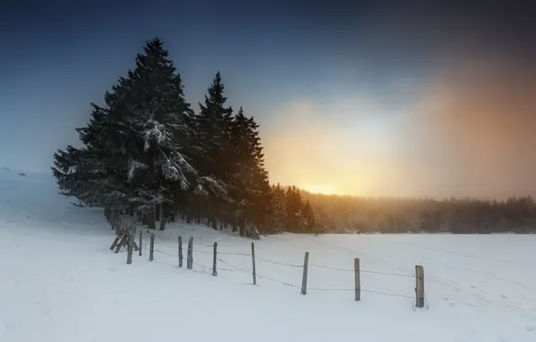 Картинка снег, туман, утро