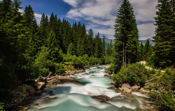 Картинка лес, Австрия, Альпы, Austria, Alps, Krimmler Ache river, река Кримлер-Ахе