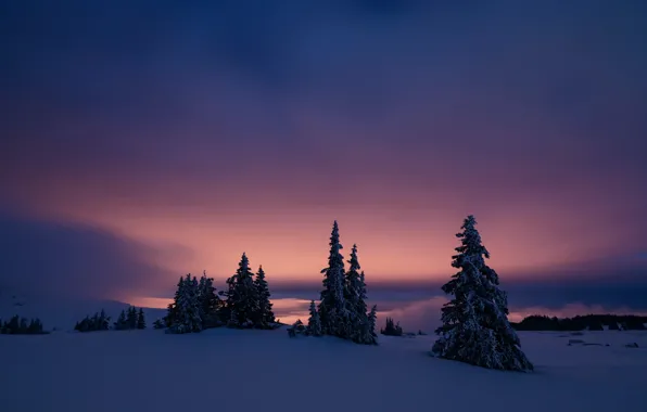 Зима, ночь, природа