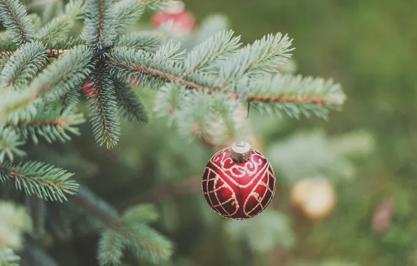 Иголки, дерево, игрушка, елка, новый год, шар, ветка, украшение