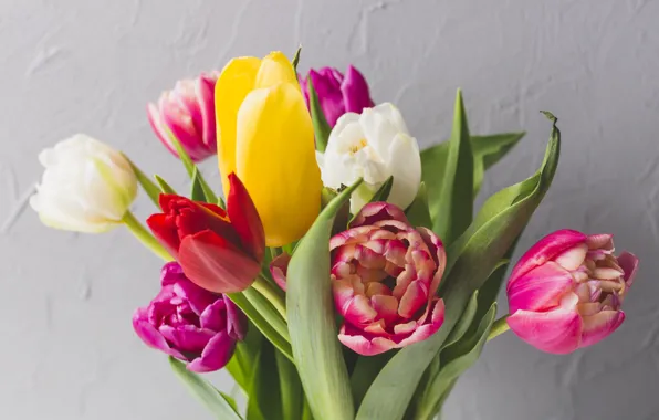 Картинка цветы, яркие, букет, весна, colorful, тюльпаны, fresh, flowers