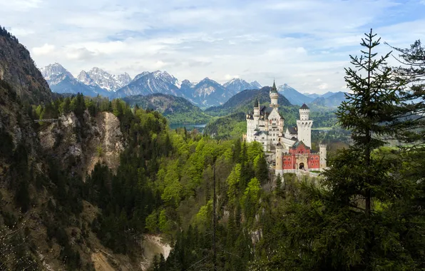 Картинка лес, горы, природа, замок, Neuschwanstein, Germany, Bavaria