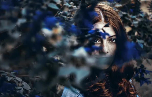 Взгляд, девушка, портрет