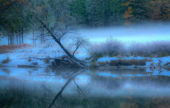 Картинка природа, туман, река, утро