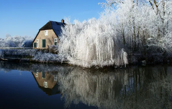 Картинка зима, деревья, природа, озеро, дом, фото