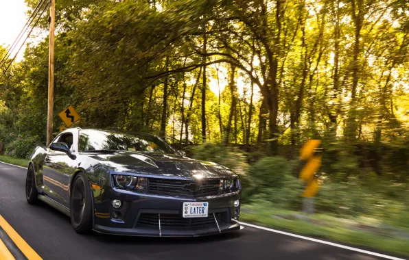 Camaro, chevrolet, american