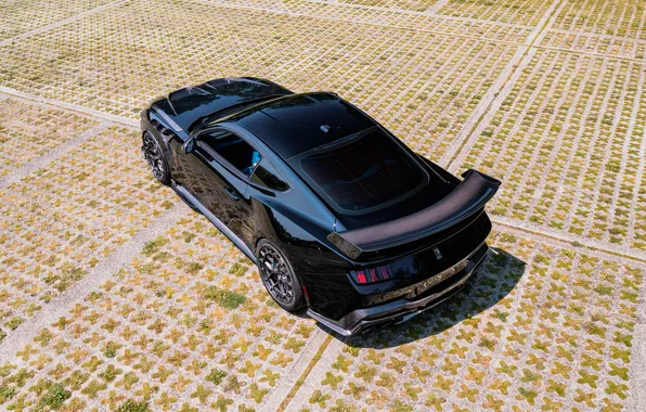 Ford Mustang, спортивное купе, Clive Sutton, 2025, Ford Mustang CS800 DH