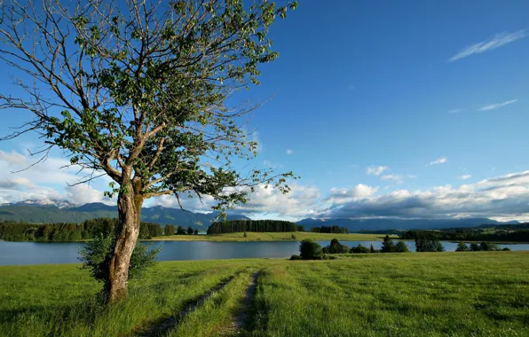 Germany, Bavaria, Forggensee