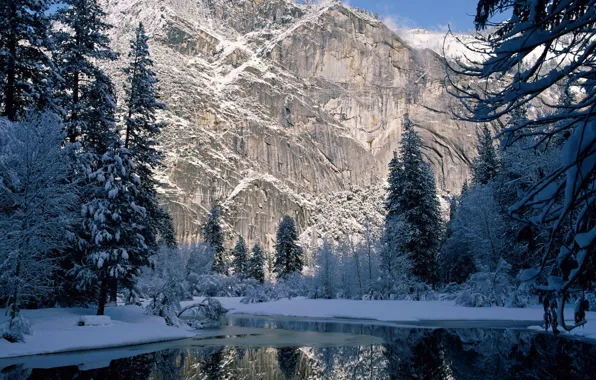 Картинка зима, снег, деревья, горы, скала, река, ель