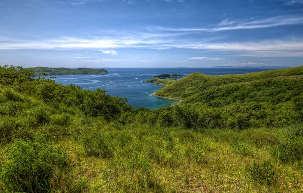 Море, зелень, небо, трава, побережье, горизонт, залив, Россия