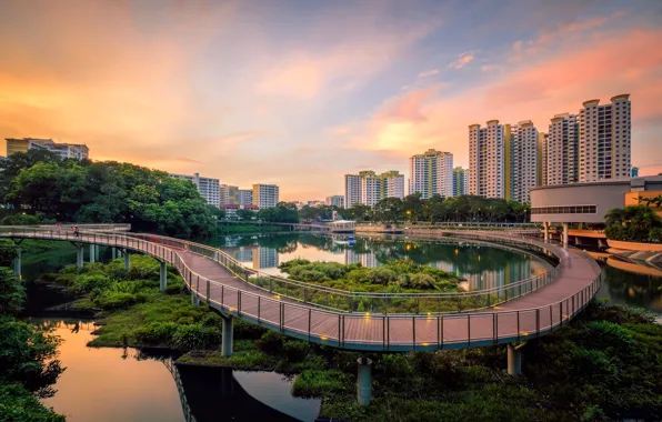 Мост, город, озеро, Сингапур, Singapore, Singapore city