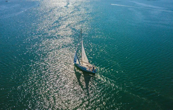 Море, яхта, паруса, Хорватия, nauticka patrola, Maslina, Jedrilica