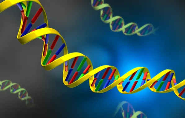 Картинка ДНК, nucleic, acid, DNA